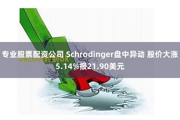 专业股票配资公司 Schrodinger盘中异动 股价大涨5