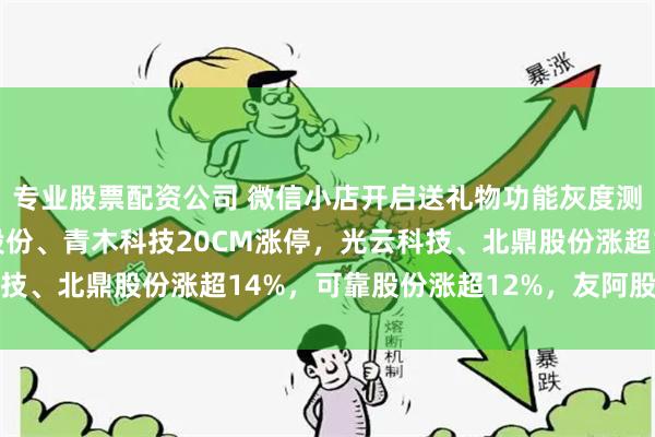 专业股票配资公司 微信小店开启送礼物功能灰度测试，*ST有树